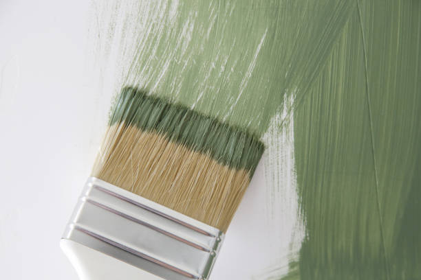 Best Mold Prevention Services  in Darlington, SC