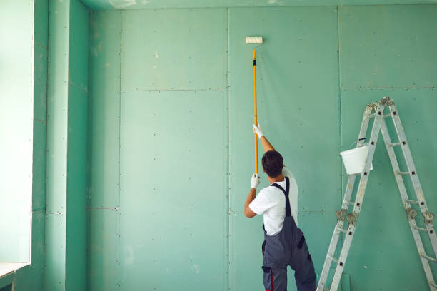Best Black Mold Removal  in Darlington, SC