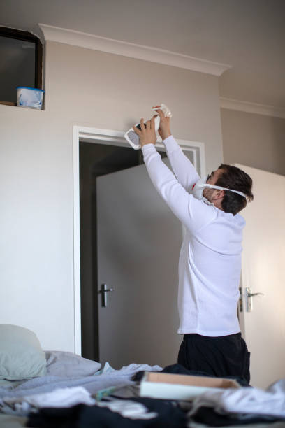  Darlington, SC Mold Removal Pros