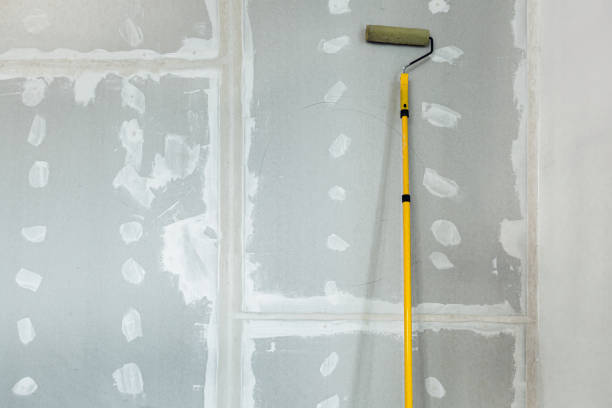 Best Mold Remediation for Healthcare Facilities  in Darlington, SC