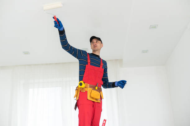 Darlington, SC Mold Removal Company